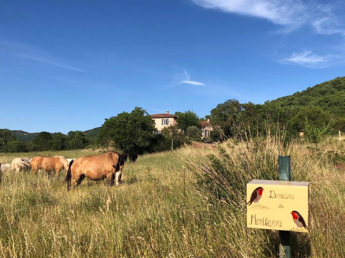 Domaine De Montbarri Panzió La Tour-sur-Orb Kültér fotó