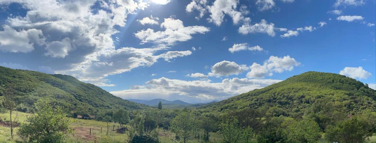 Domaine De Montbarri Panzió La Tour-sur-Orb Kültér fotó