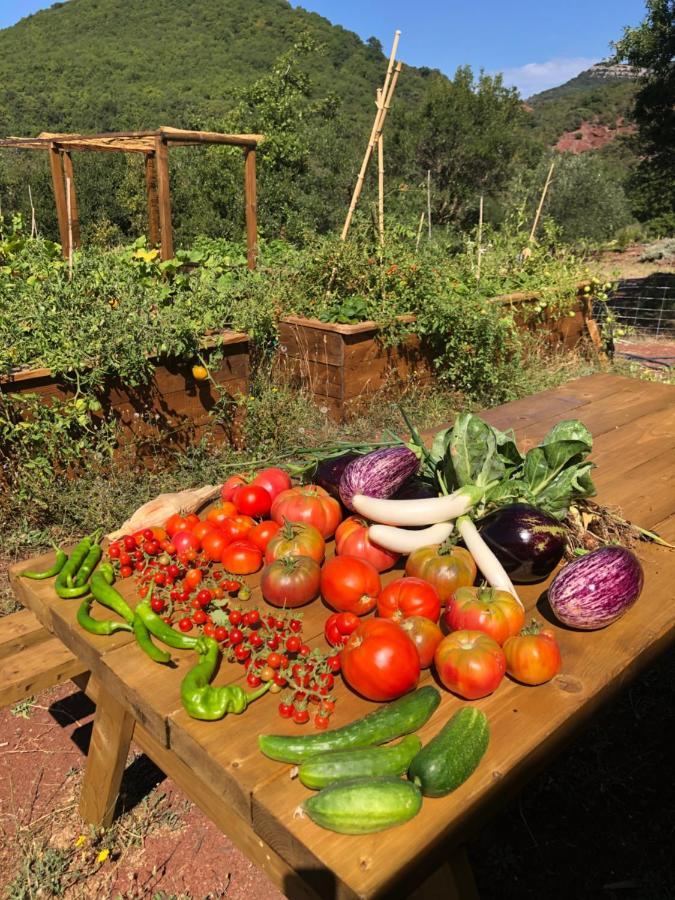 Domaine De Montbarri Panzió La Tour-sur-Orb Kültér fotó